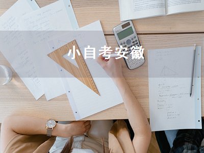 小自考安徽（安徽有小自考吗）