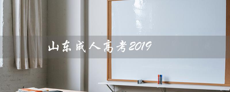 山东成人高考2019（山师大2019成考分数线）