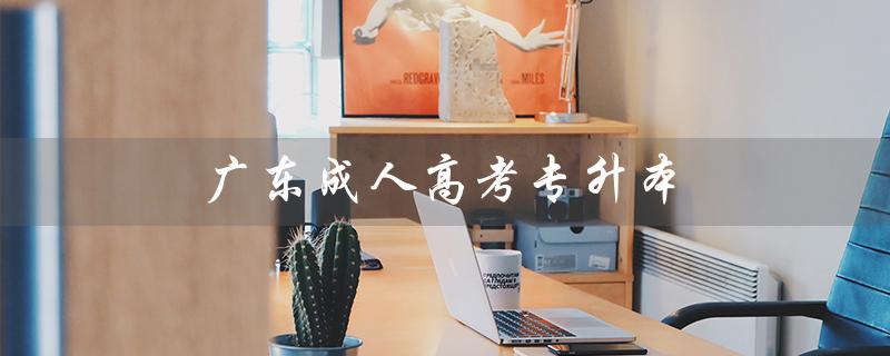 广东成人高考专升本（广东成人高考专升本报名如何进行）