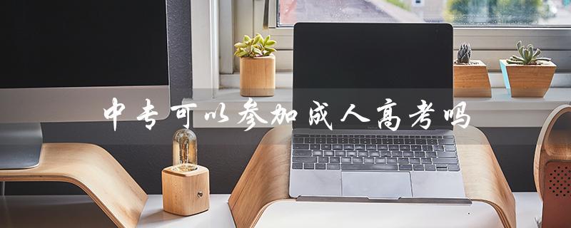 中专可以参加成人高考吗（电大中专可参成人高考吗）