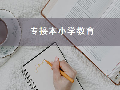 专接本小学教育（专接本小学教育考哪些科目）