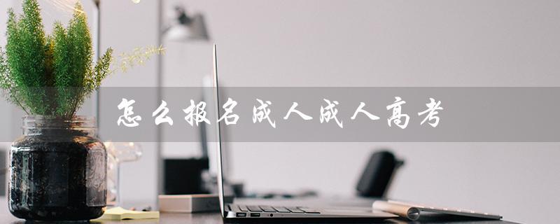 怎么报名成人成人高考（成人自考大专报名方法）