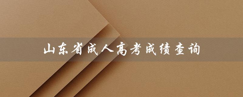 山东省成人高考成绩查询（山东省成考成绩查询入口）