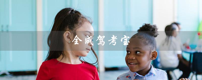 全成驾考宝（全成驾考宝典是什么）