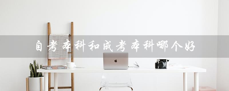 自考本科和成考本科哪个好（自考本科和成考本科哪个好）