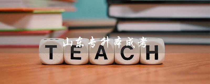 山东专升本成考（山东专升本成考题型是什么）