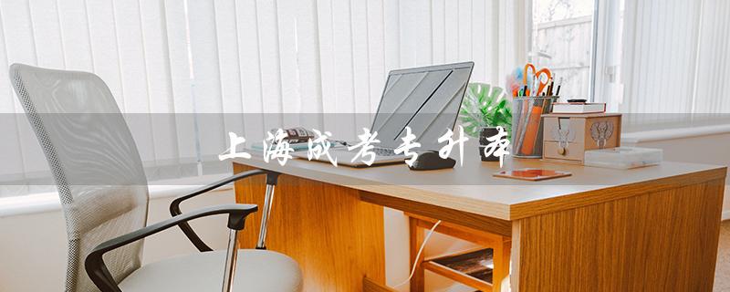 上海成考专升本（上海成考专升本如何报名）