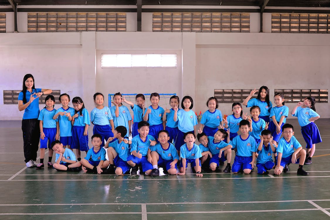 小学教育成考（20230423）