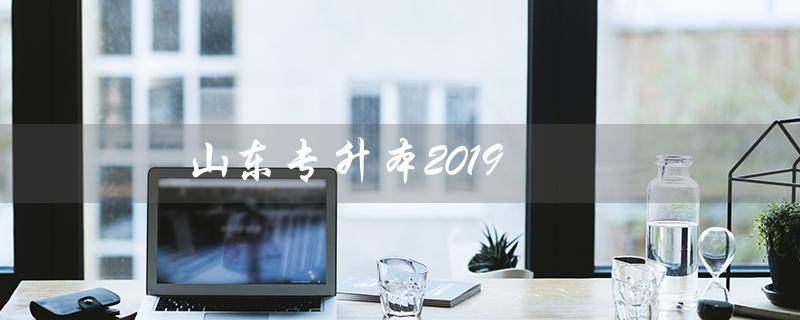 山东专升本2019（2019山东专升本语文真题答案是什么）