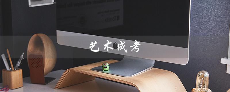 艺术成考（艺考加试是什么）