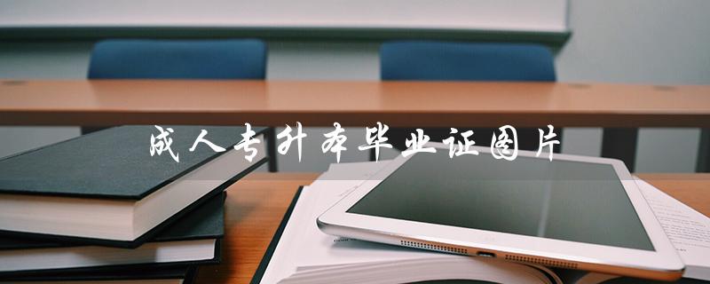 成人专升本毕业证图片（成人自考专升本毕业证图片是什么）
