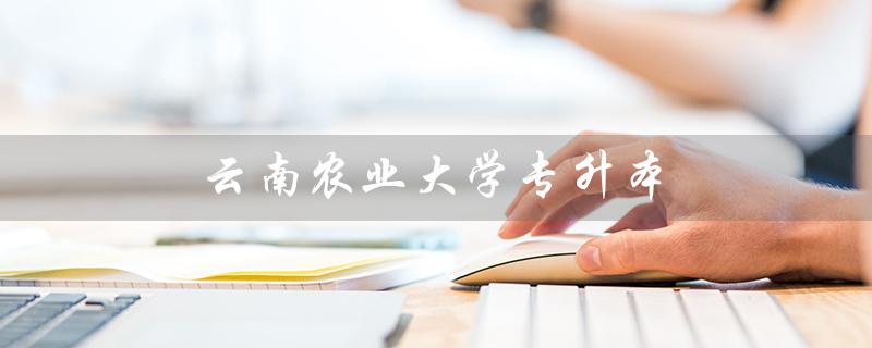 云南农业大学专升本（云南农业大学专升本分数及专业）