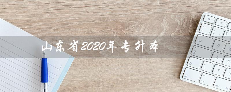 山东省2020年专升本（2020山东专升本计算机真题及答案）