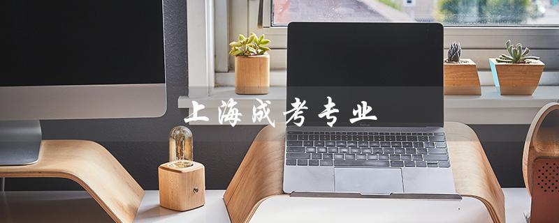上海成考专业（上海成考有哪些专业）