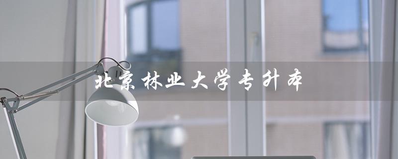 北京林业大学专升本（北京林业大学专升本招生简章是什么）