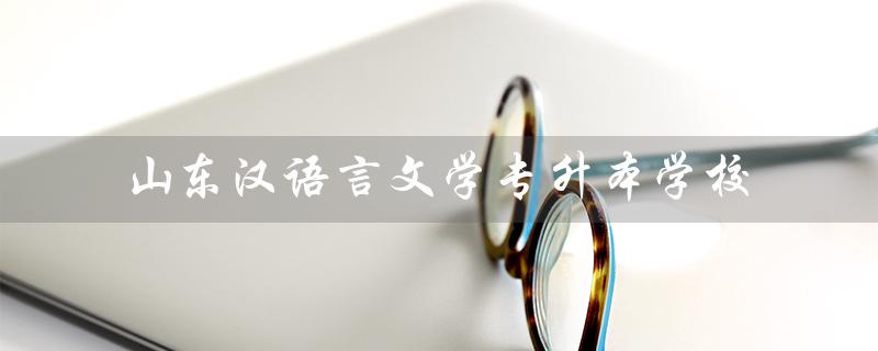 山东汉语言文学专升本学校（山东汉语言文学专升本学校分数是多少）