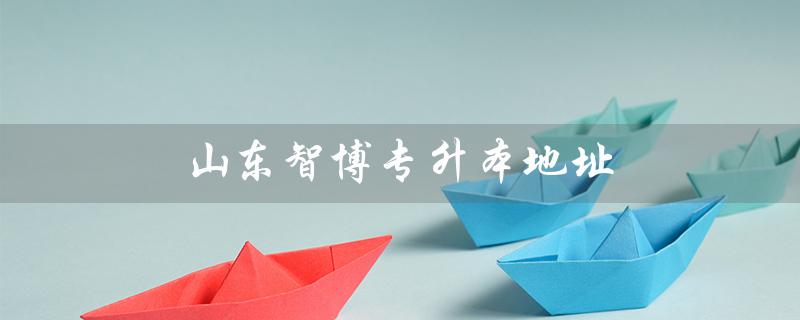 山东智博专升本地址（山东智博专升本官网是什么）