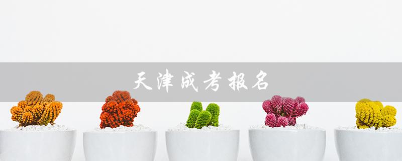 天津成考报名（天津成考报名入口在哪里）