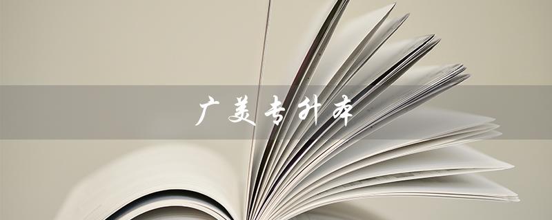 广美专升本（广美专升本加试是什么）