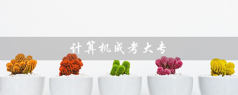 计算机成考大专（计算机成考本科考哪些科目）