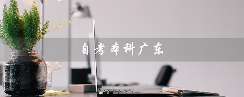 自考本科广东（广东自考本科有哪些专业）