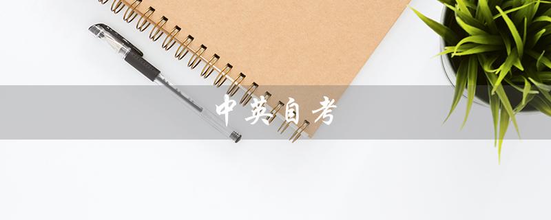 中英自考（会计原理与实务模拟题两套）