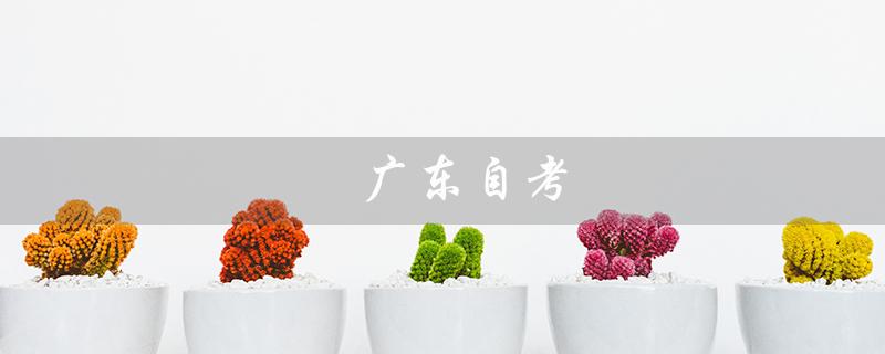 广东自考（考试报名、考试科目、考试时间等信息）