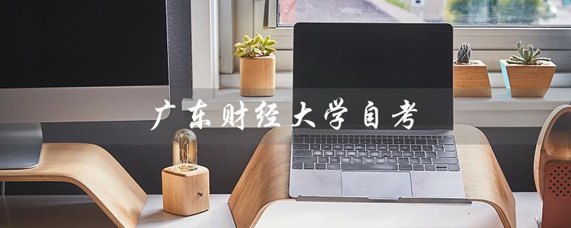 广东财经大学自考（广东财经大学自考招生官网是什么）