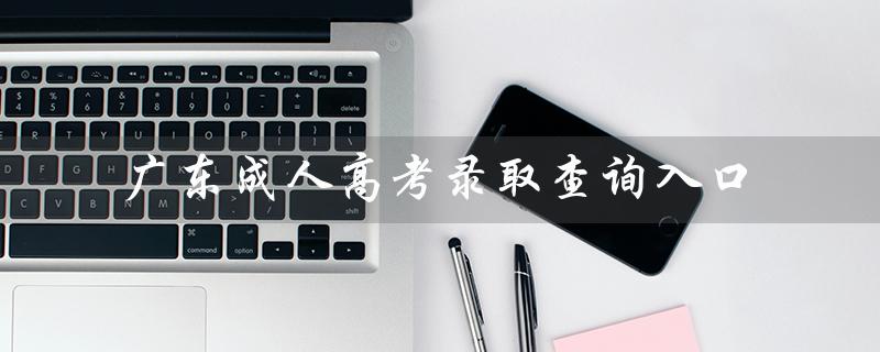 广东成人高考录取查询入口（山东成考录取查询入口是什么）