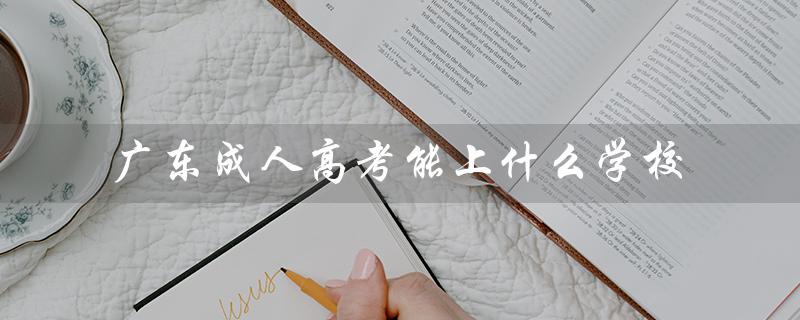 广东成人高考能上什么学校（广东成考报名官网是什么）