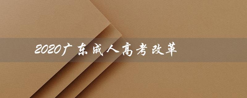 2020广东成人高考改革（2023年广东成人高考改革是什么）
