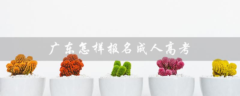广东怎样报名成人高考（广东成考报名官网是什么）