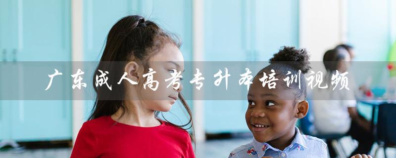 广东成人高考专升本培训视频（广东成人高考专升本考试科目是什么）