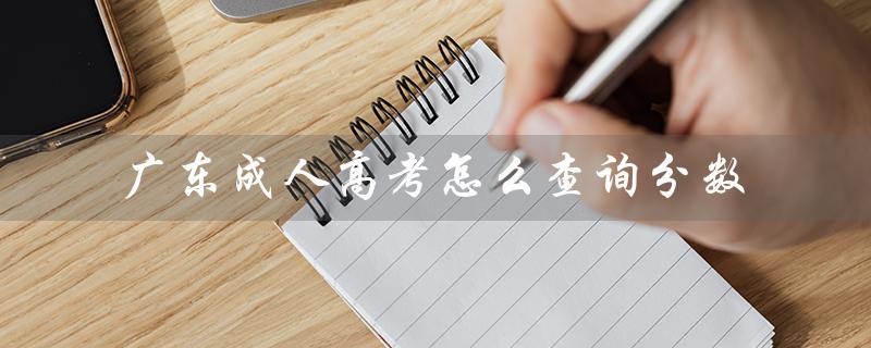 广东成人高考怎么查询分数（河北成人高考分数查询方法）