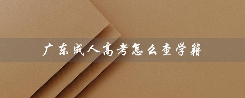 广东成人高考怎么查学籍（成人高考录取后如何查学籍）