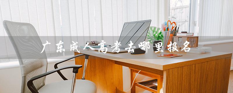 广东成人高考去哪里报名（广东成考报名官网是什么）