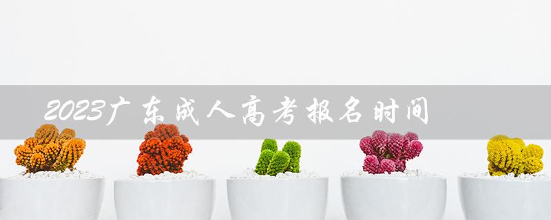 2023广东成人高考报名时间（2023广东成考报名时间及条件是什么）