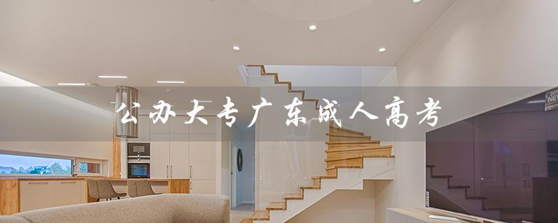 公办大专广东成人高考（广东有公办大专吗）