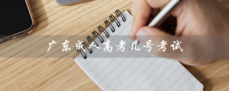 广东成人高考几号考试（广东成人高考报名官网是什么）