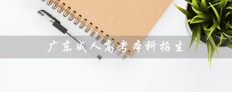 广东成人高考本科招生（广东成人高考报名官网是什么）