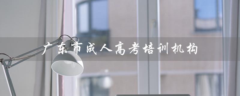 广东市成人高考培训机构（广东成人高考培训机构排行榜是什么）
