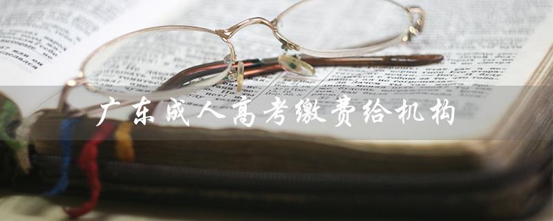 广东成人高考缴费给机构（成人高考缴费方式有哪些）