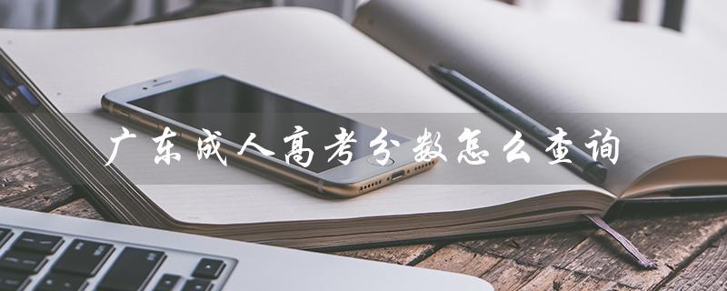 广东成人高考分数怎么查询（广东成考分数查询入口）