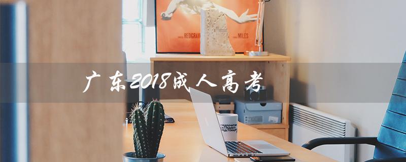 广东2018成人高考（2018成考数学考什么）