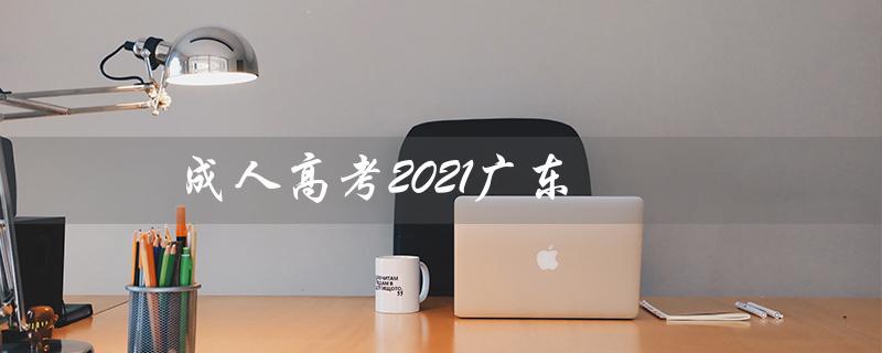 成人高考2021广东（2021成考成绩查询入口官网）