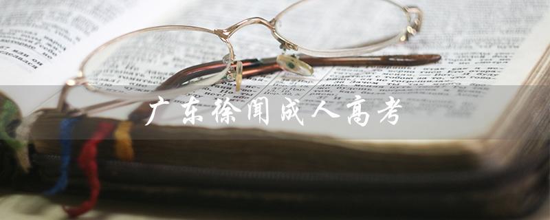 广东徐闻成人高考：实现梦想的另一条途径