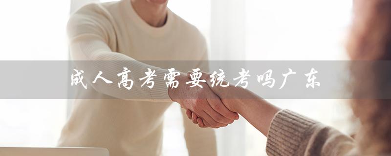 成人高考需要统考吗广东（成人高考是否需要统考英语和计算机）