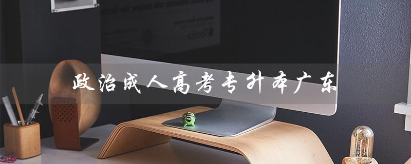 政治成人高考专升本广东（政治成人高考专升本模拟试题是什么）