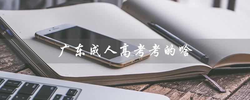 广东成人高考考的啥（广东成考报名官网是什么）