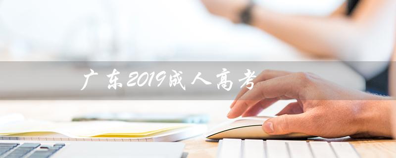 广东2019成人高考（2019成考语文试卷是什么）